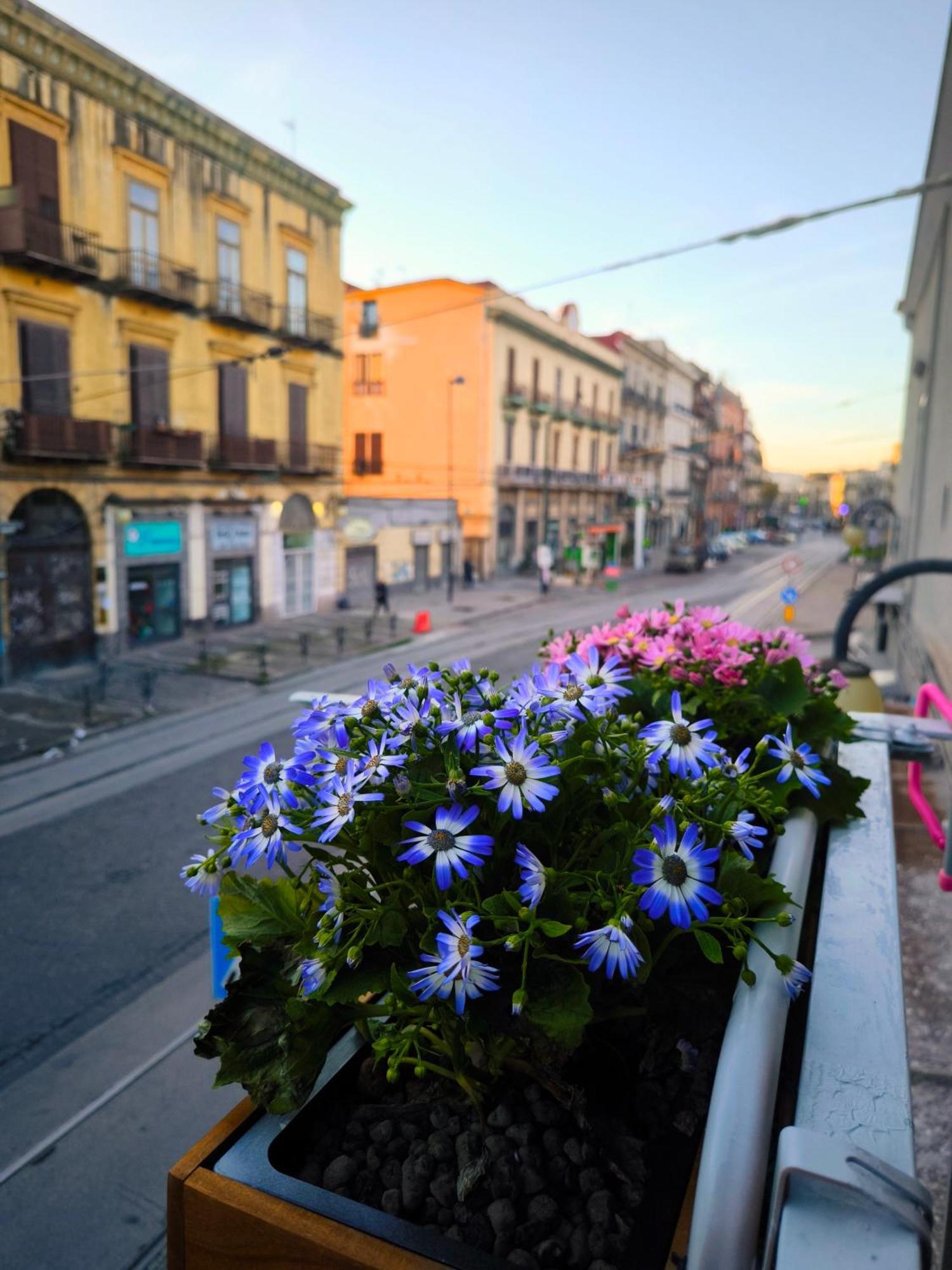 Casamira B&B Napoli Centrale ภายนอก รูปภาพ